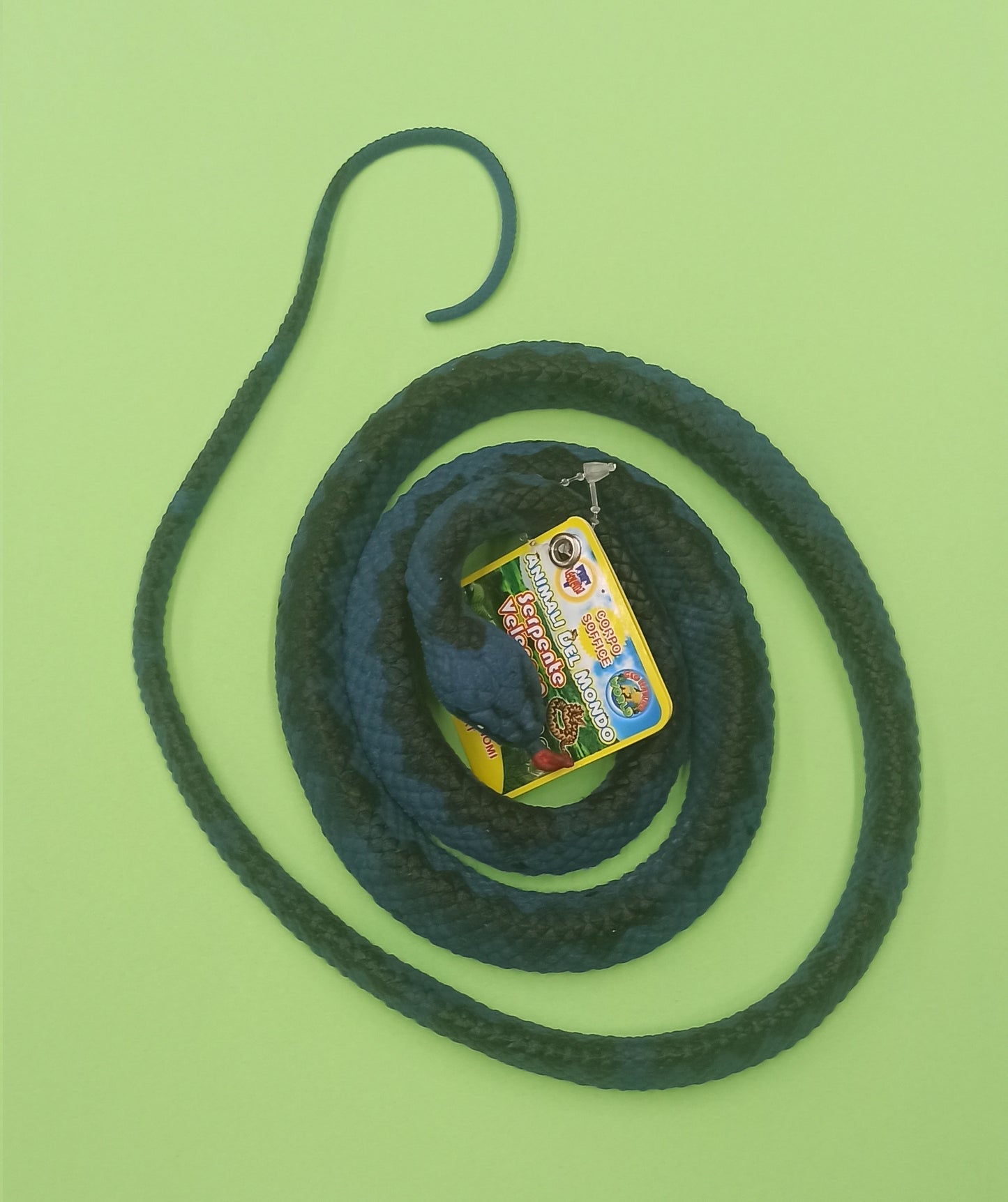 Serpente di gomma - Teorema