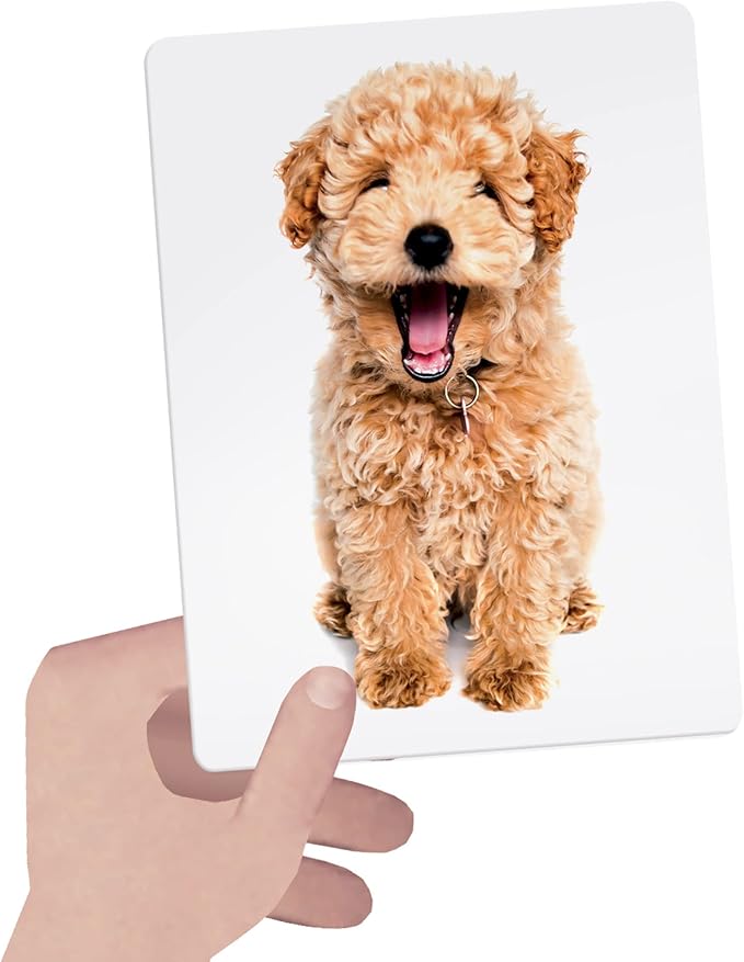 HEADU TACTILE FLASHCARDS MONTESSORI