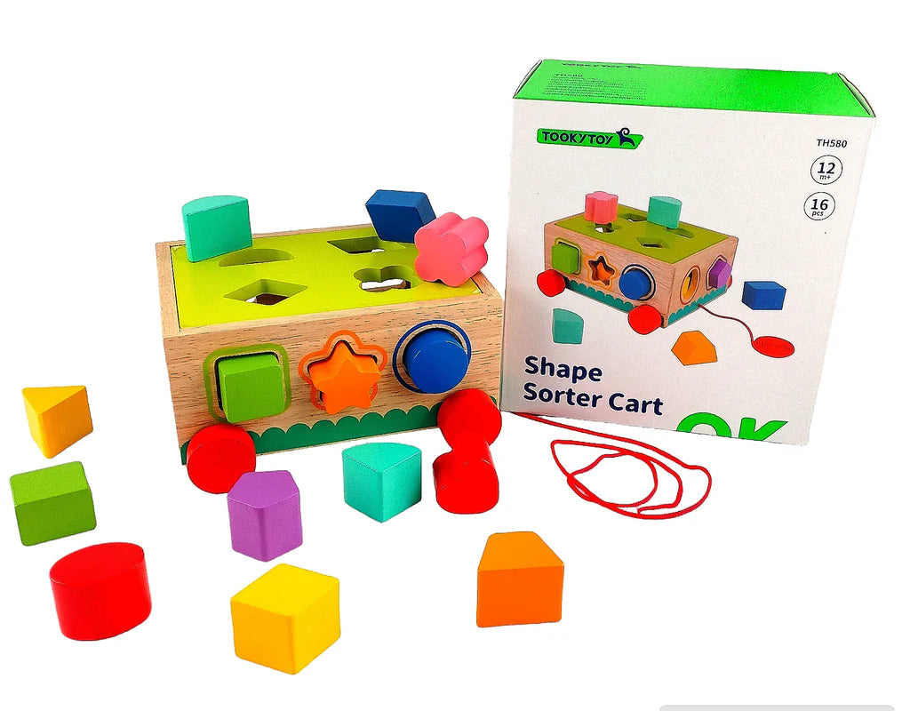 GIOCO CARRELLO CON FORME INCASTRO LEGNO TOOKY TOY