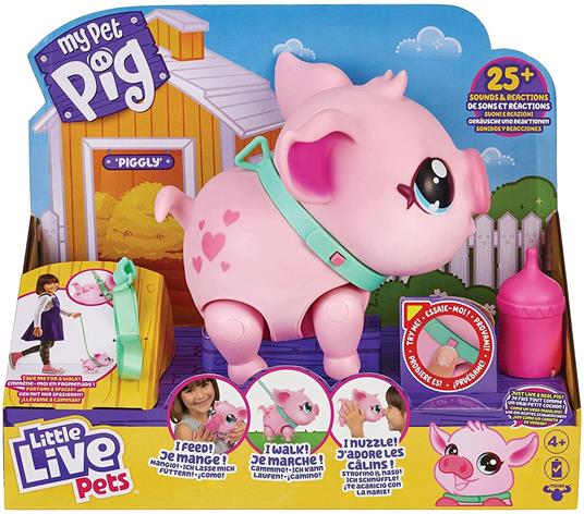MY PET PIG
