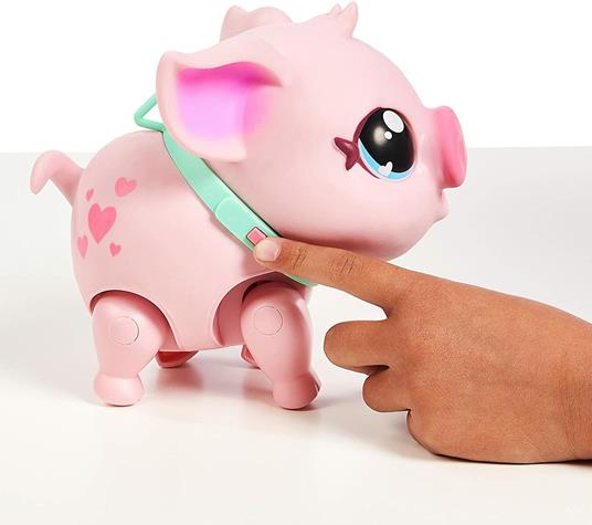 MY PET PIG