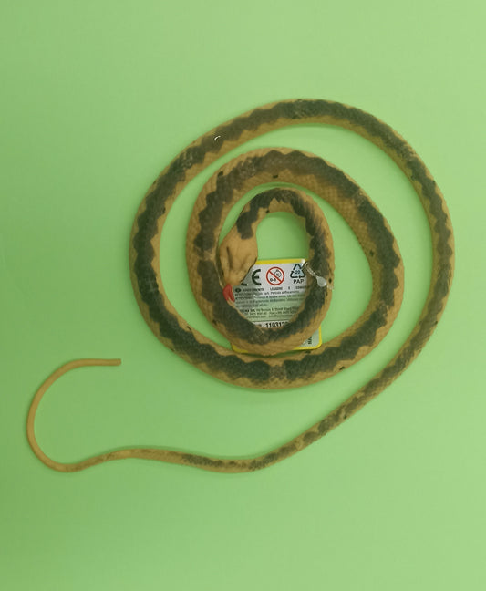 Serpente di gomma - Teorema