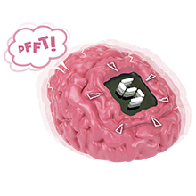 BRAIN FART A CHI SCOREGGERA' IL CERVELLO ROCCO GIOCATTOLI